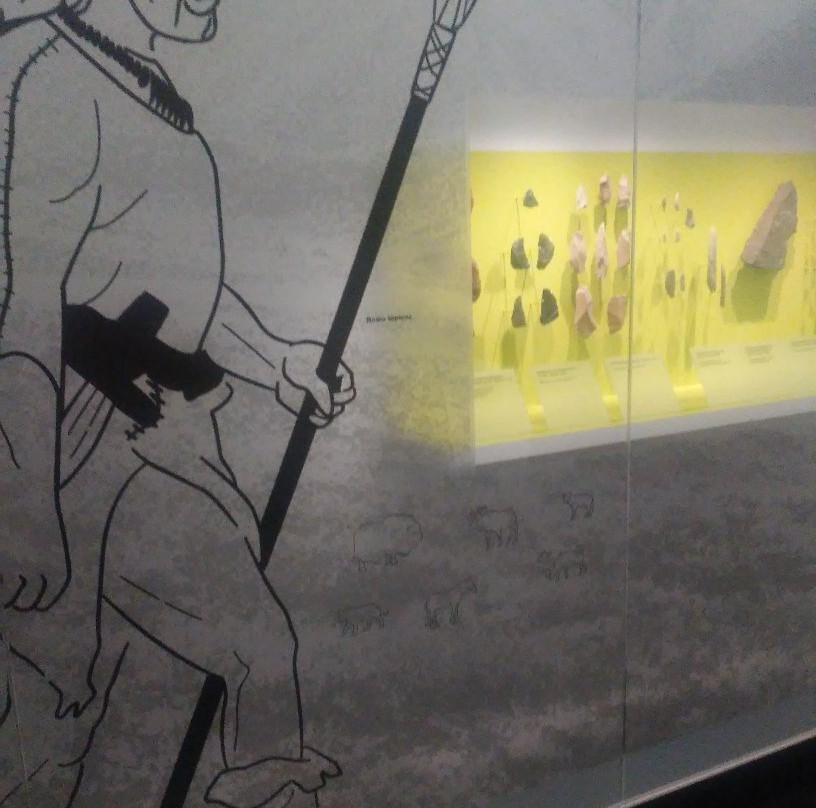 Hessisches Landesmuseum, Kassel-卡塞尔行政区必去景点