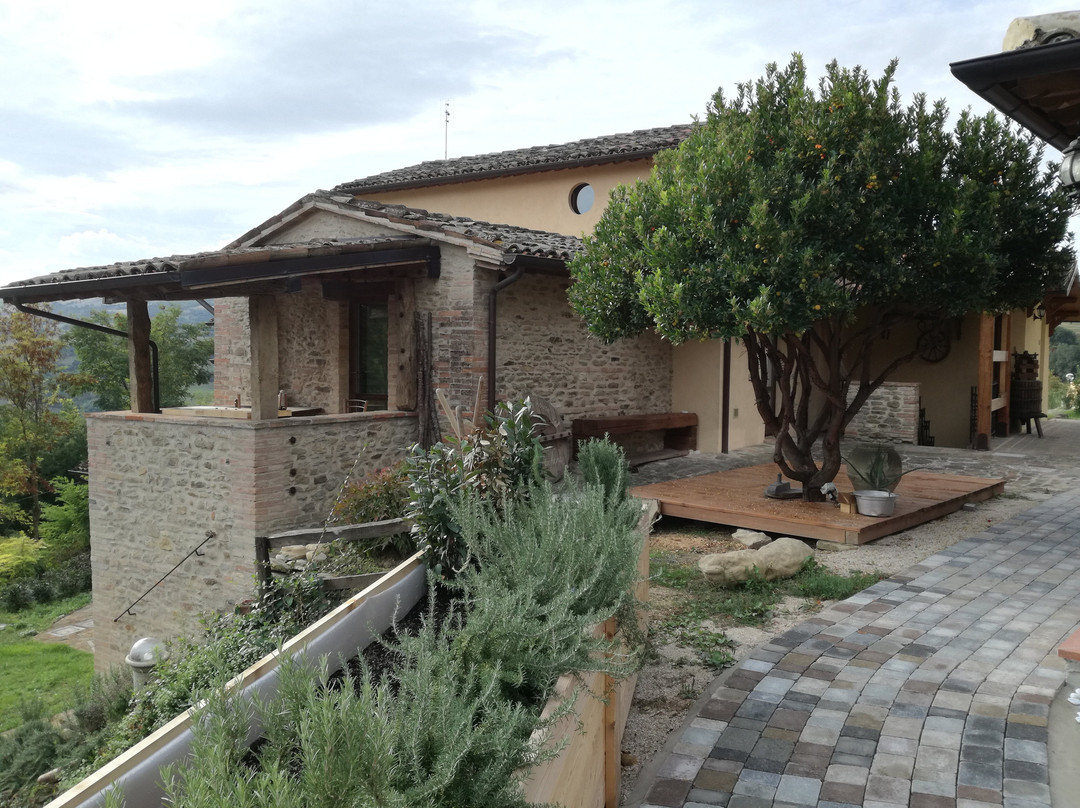 Country House Ca' Vernaccia主图