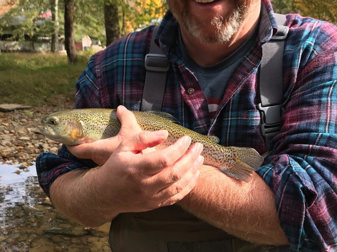 Knapps Creek Trout Lodge-Marlinton必去景点
