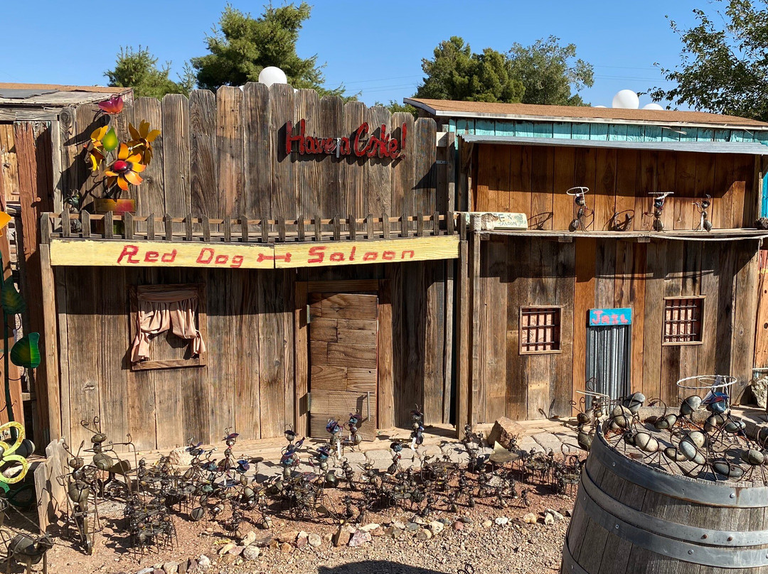 Cactus Joe's Blue Diamond Nursery-拉斯维加斯必去景点