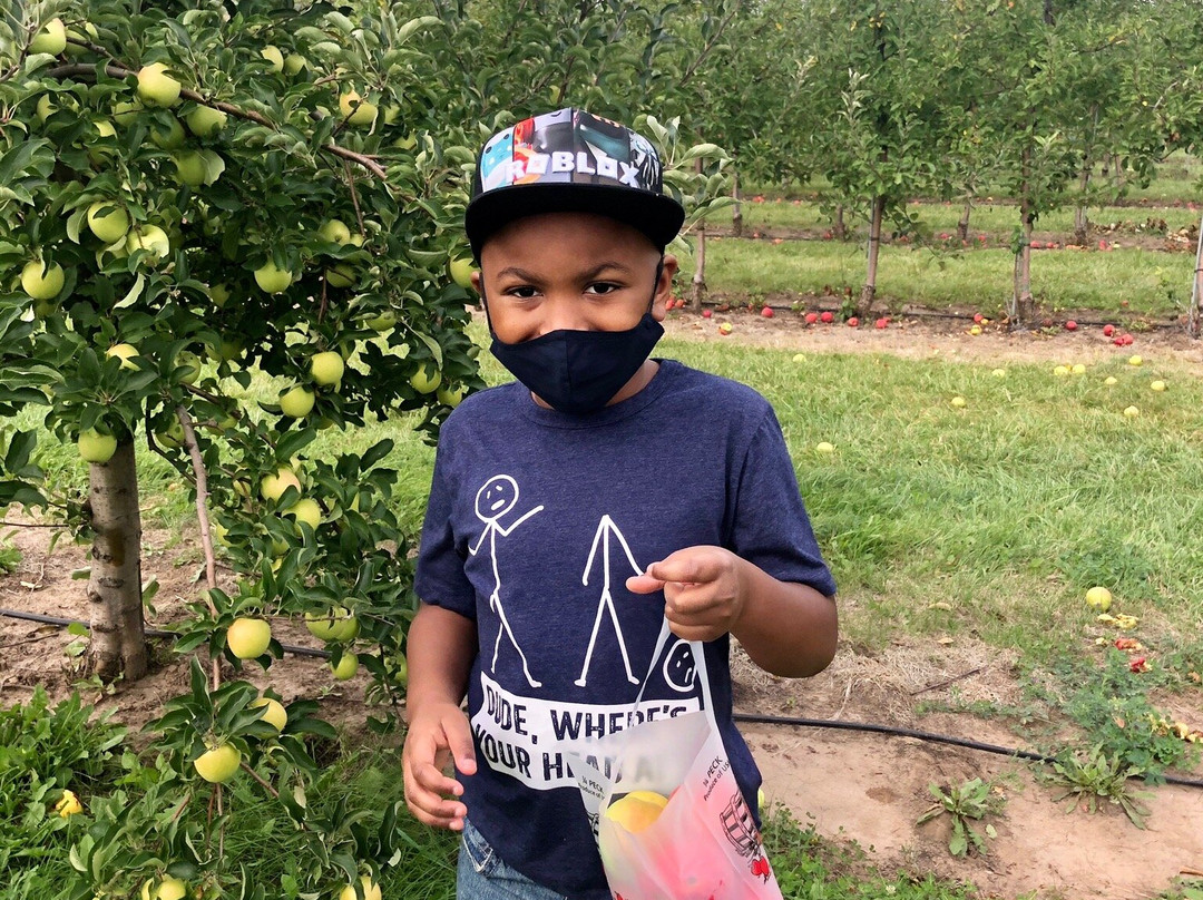 Stade's Farm and Market-McHenry必去景点