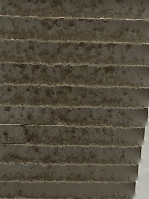 Country Inn & Suites by Radisson, Greenville, NC主图