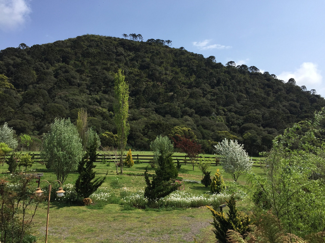 Pousada Cantos e Encantos主图