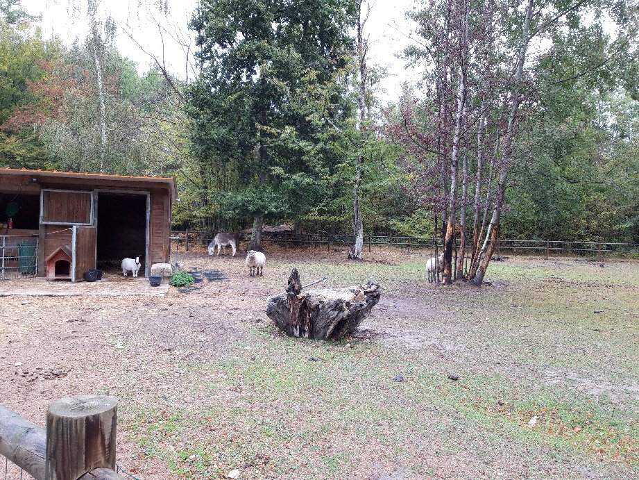 Domaine des Tinarages-官方