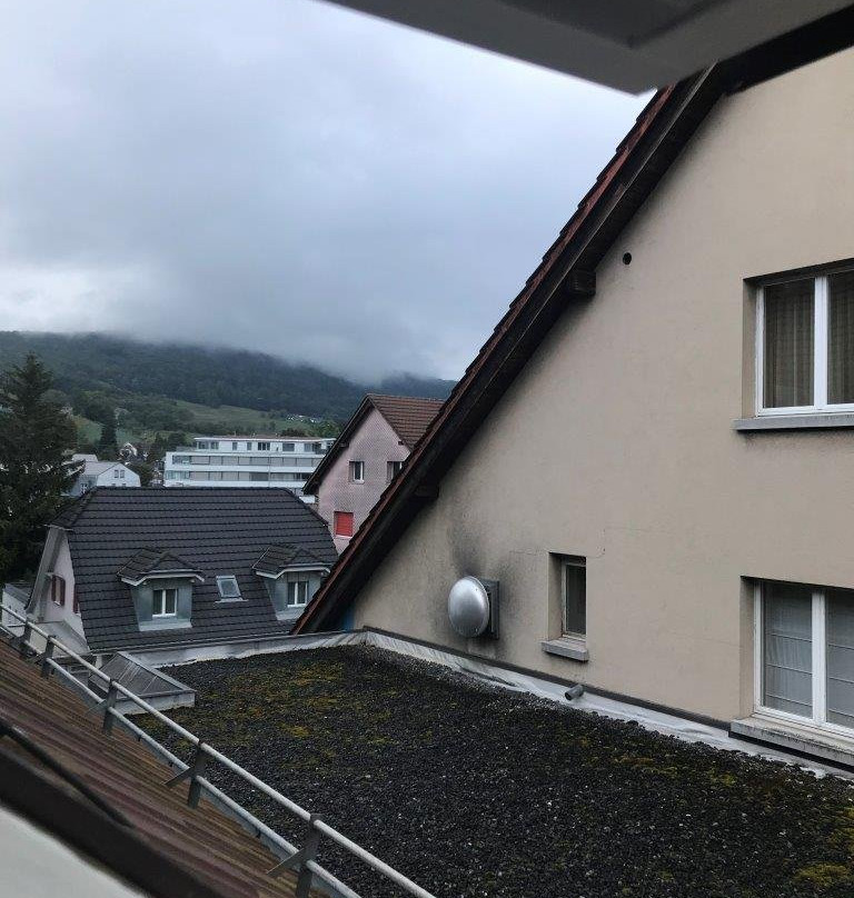 Hotel Aarehof主图