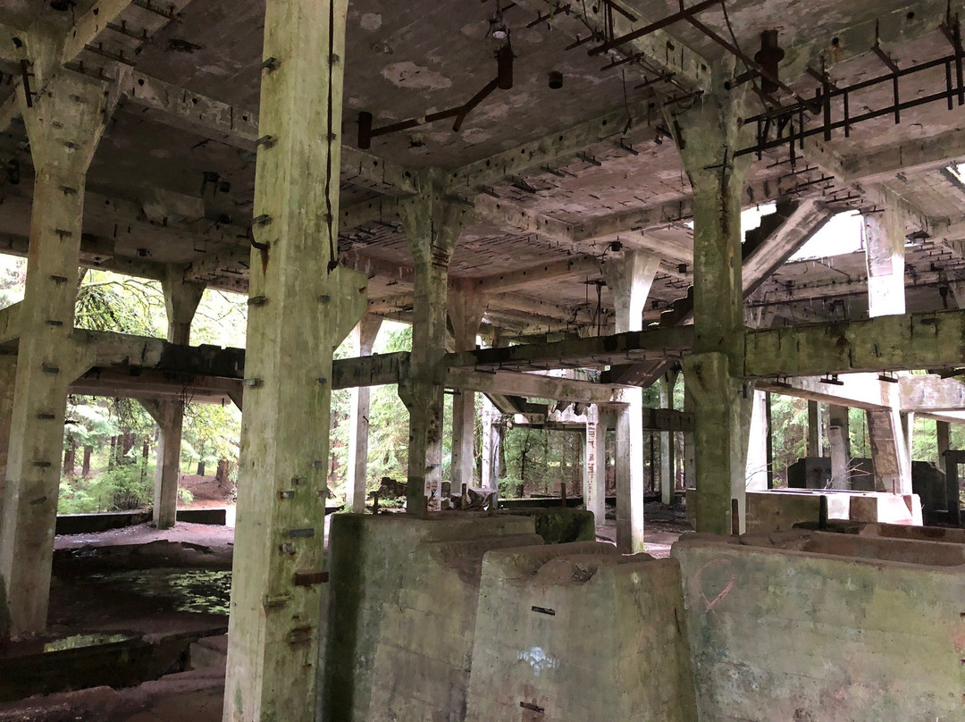 Tin mine Sauersack景点图片