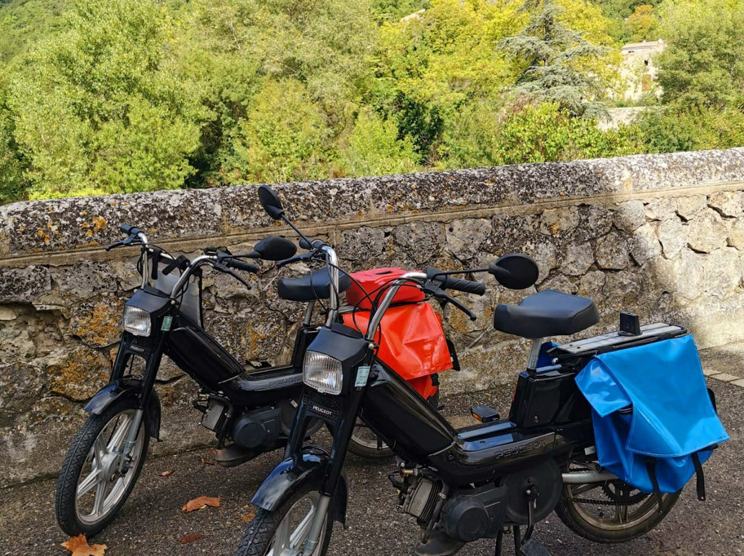 Scoot'Nomad景点图片