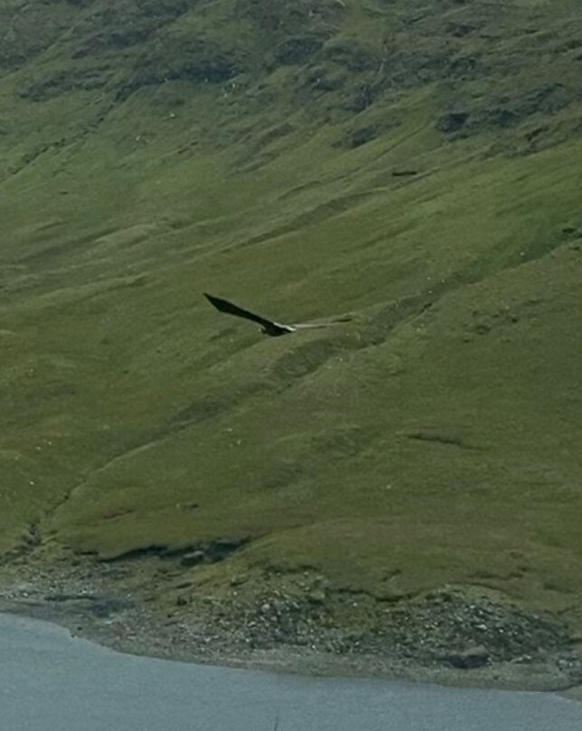 West Highland Wildlife Tours-阿盖尔比特必去景点