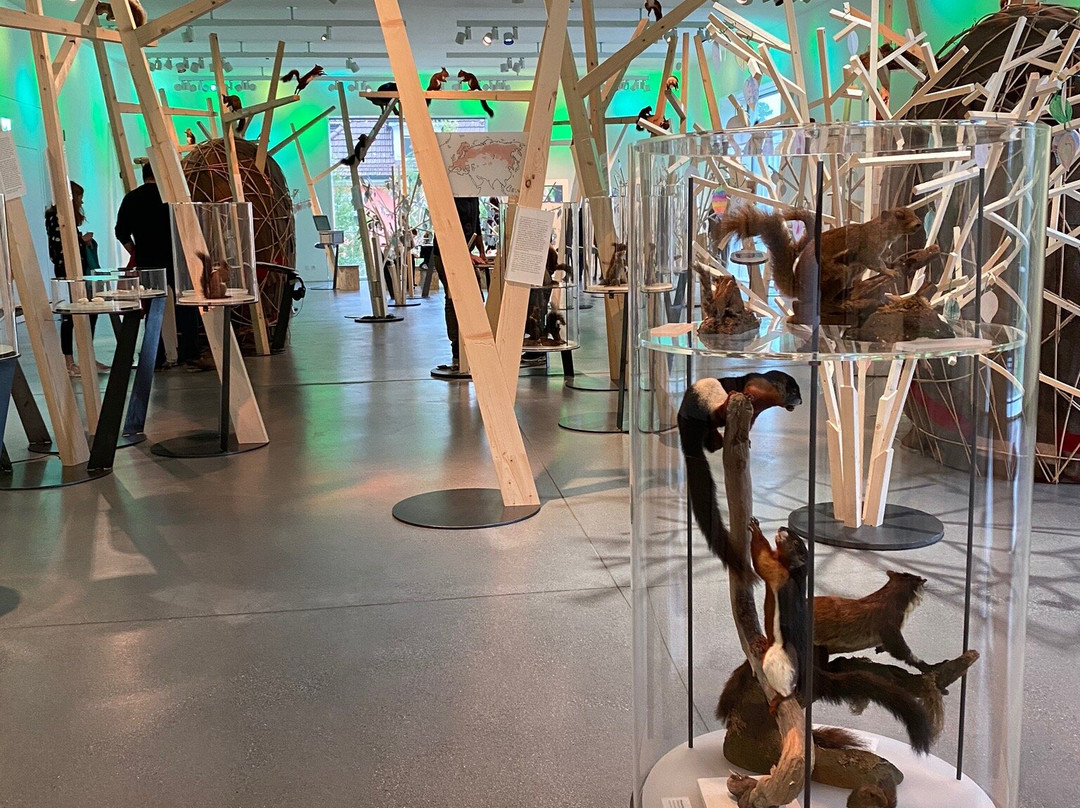 Naturmuseum St.Gallen-圣加仑必去景点