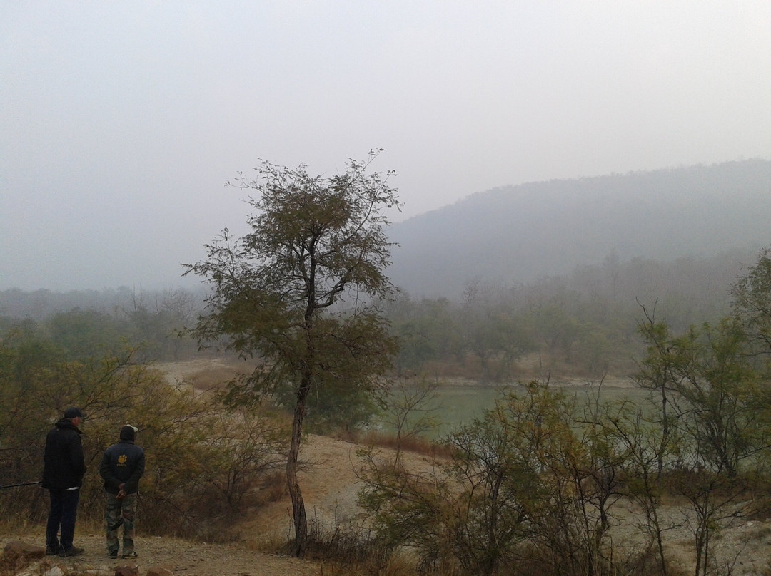 The Panna National Park Safari景点图片