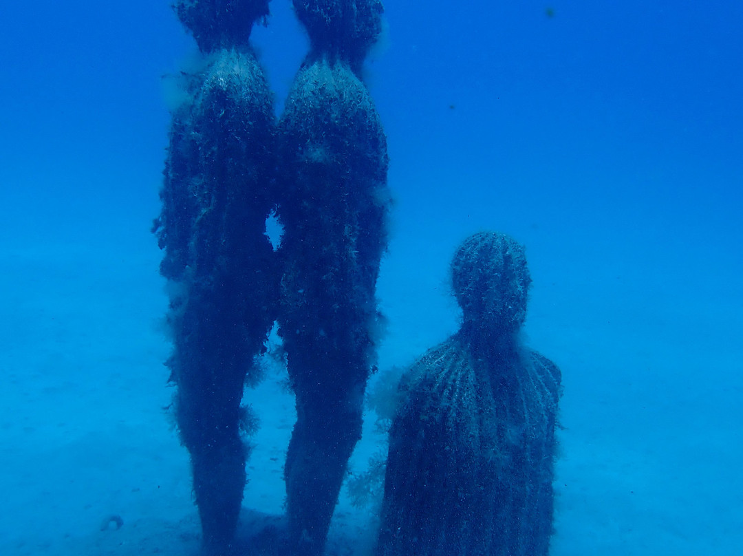 Museo Atlántico Underwater Museum景点图片