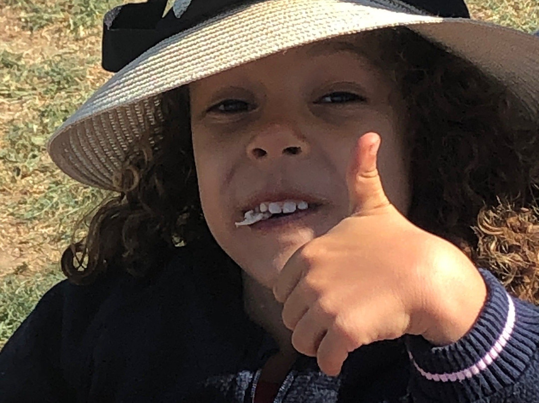 Twin Star Orchards-新帕尔茨必去景点