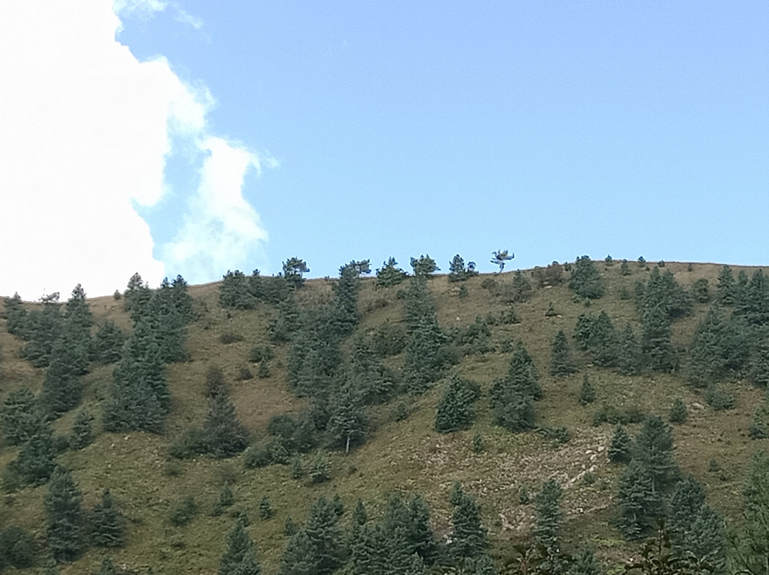 Miranjani-Abbottabad必去景点