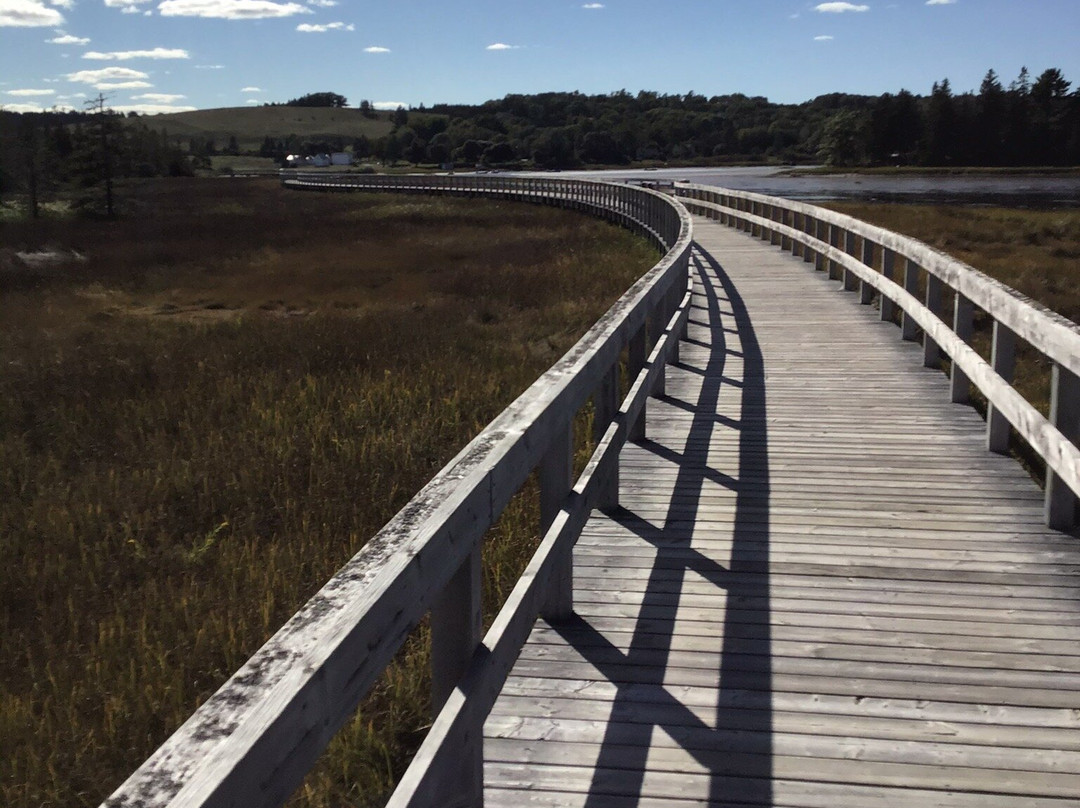 Rissers Beach Provincial Park景点图片