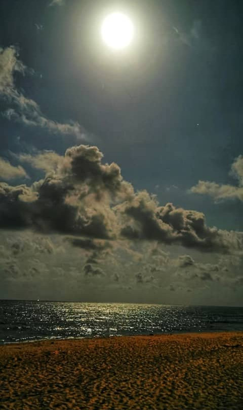 Resorts World Kijal主图