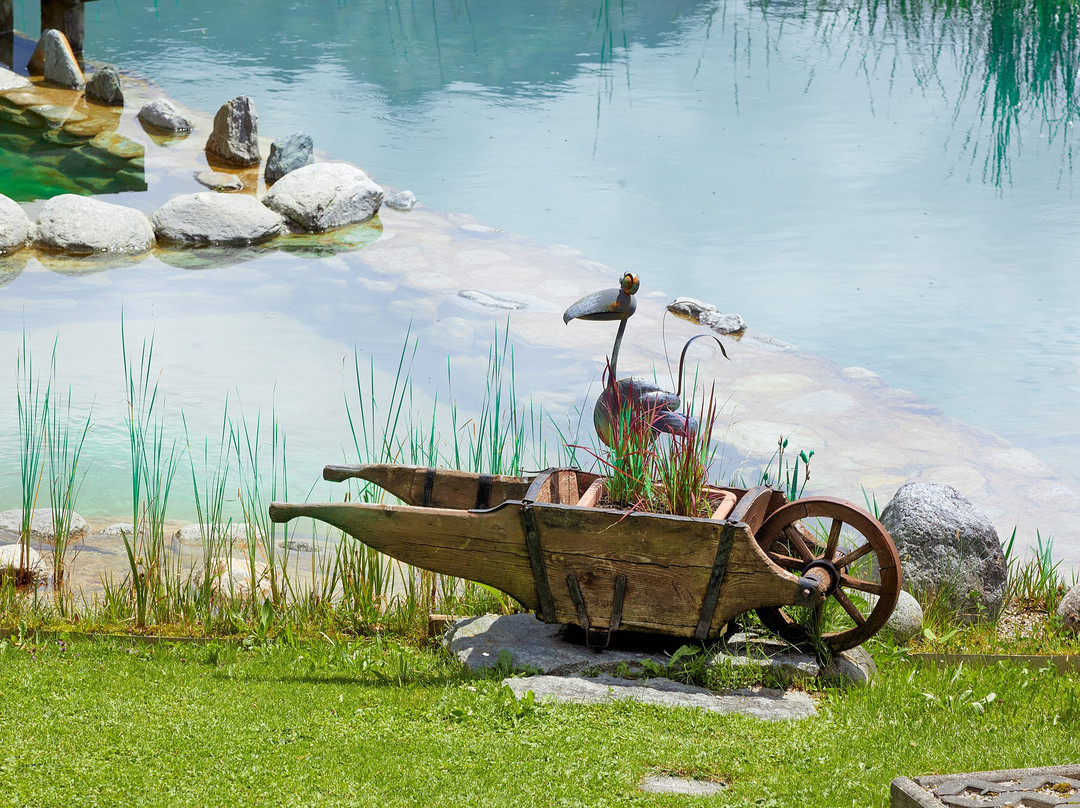 Hotel Steiger Gmbh主图