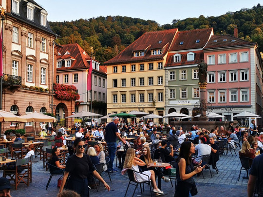 Wohlfuhl-Hotel Neu Heidelberg主图