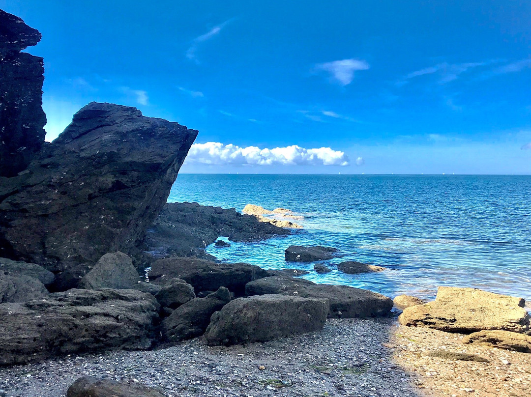 Golfe du Morbihan Vannes Tourisme - Bureau d'Arzon景点图片
