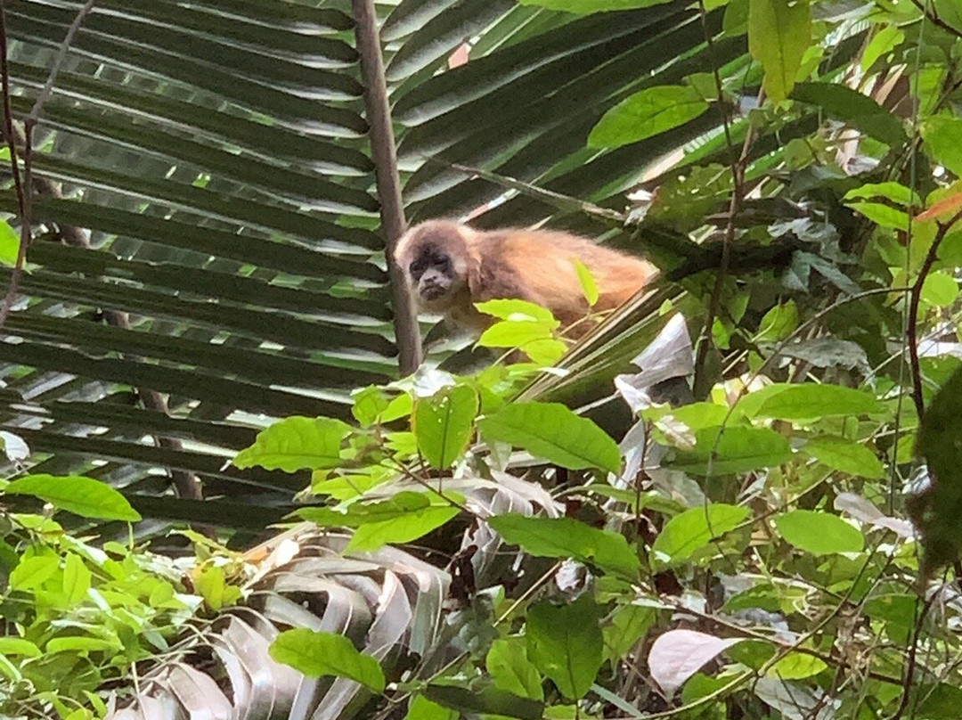 Reserva Ecologica Manglares Churute-瓜亚基尔必去景点