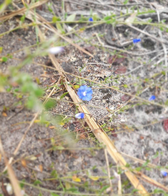 Parque Natural Municipal de Mucugê-Mucuge必去景点