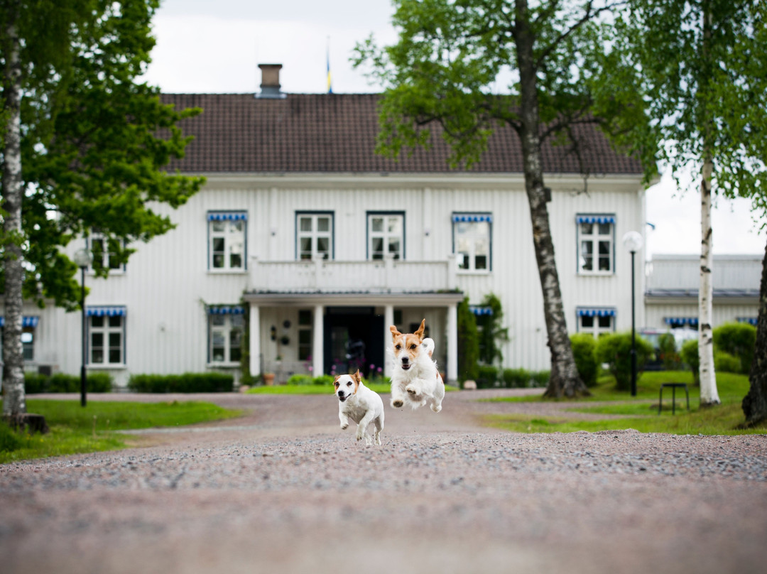 Uddeholm旅游攻略图片