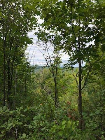 Nottawasaga Lookout Provincial Nature Reserve景点图片
