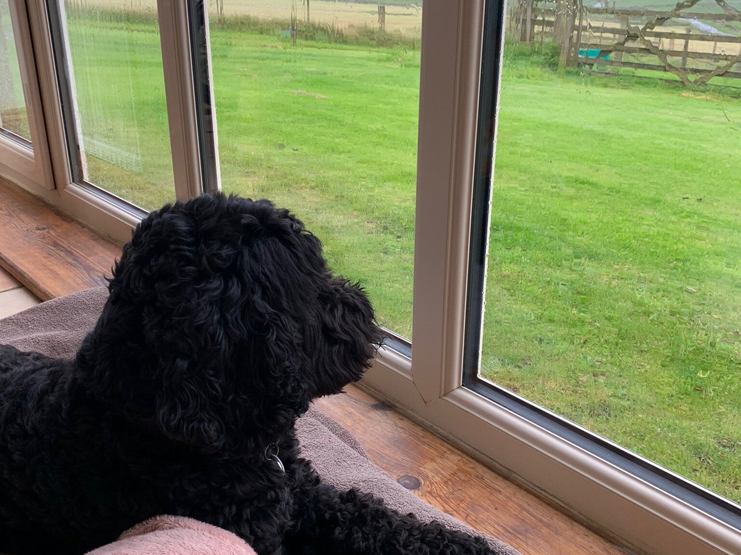 Grindon Farm - Cartshed & Old Farmhouse主图