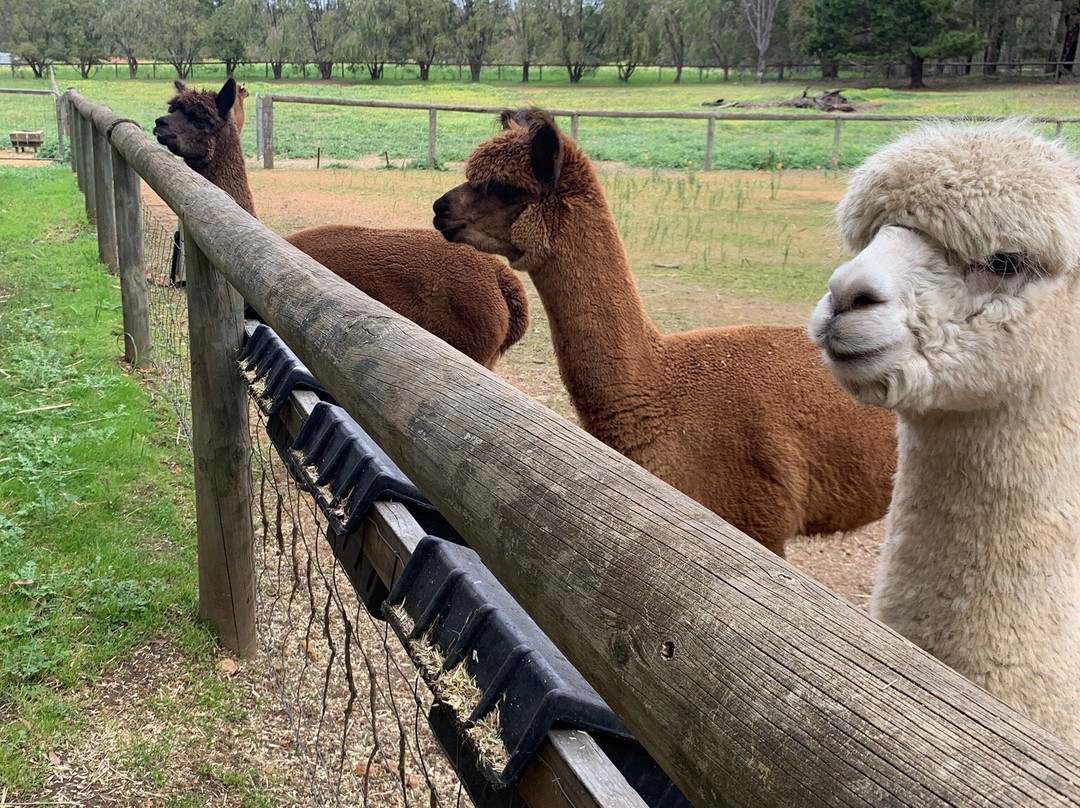 Hidden Valley Eco Lodges主图