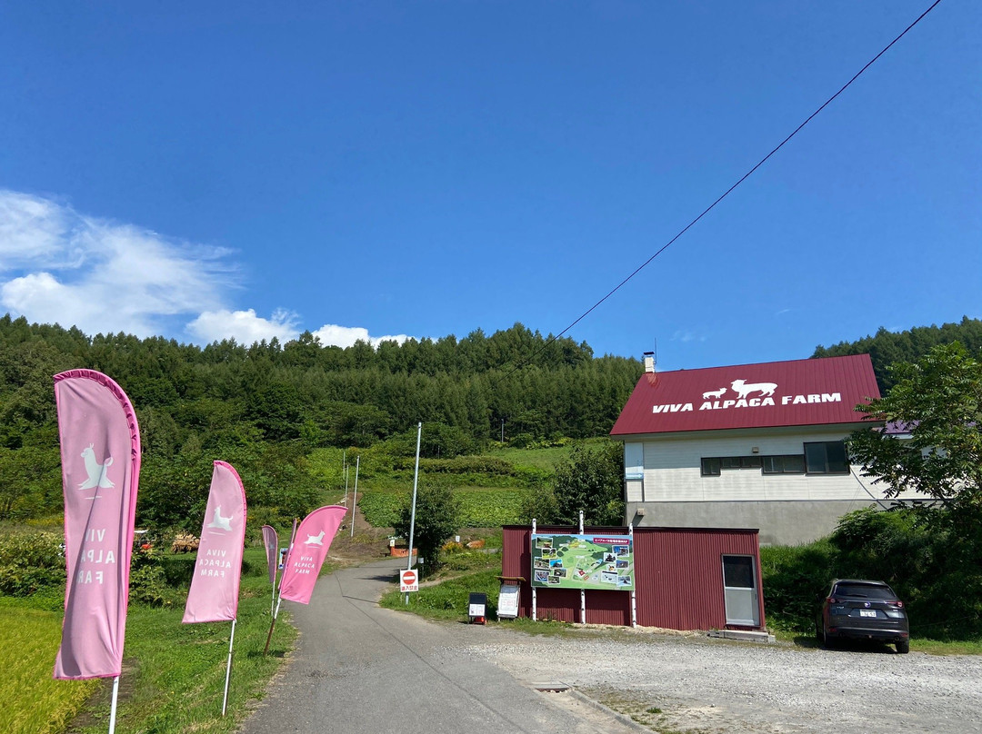 Viva Alpaca Farm-剑渊町必去景点