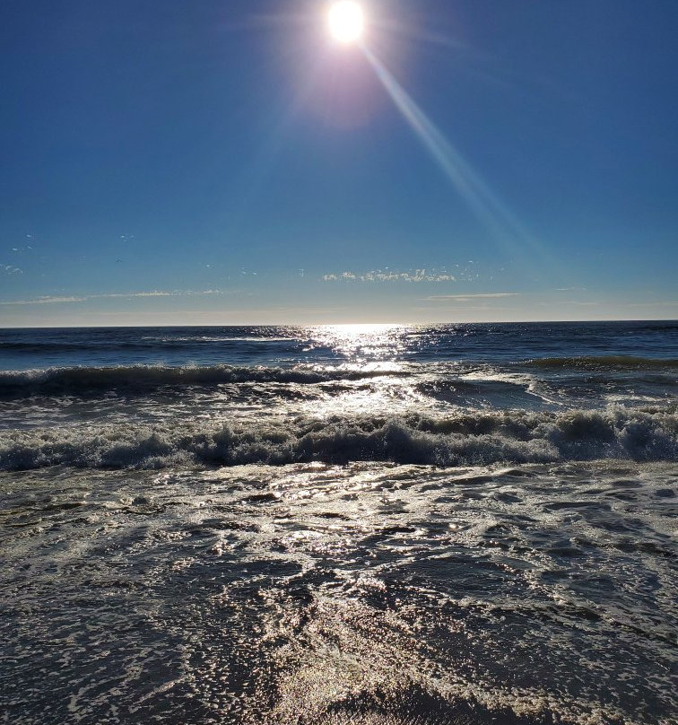 Sonoma Coast State Beach - Salmon Creek景点图片