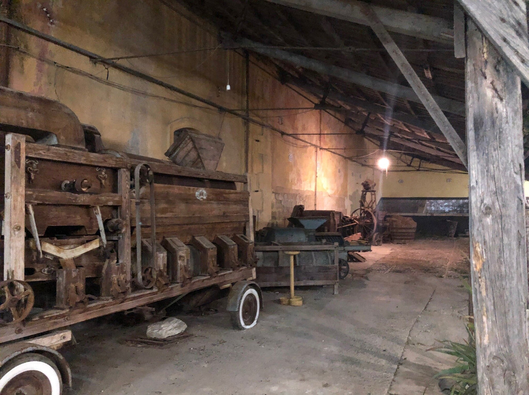 Adamo Bio Azienda Agricola-Calatafimi-Segesta必去景点