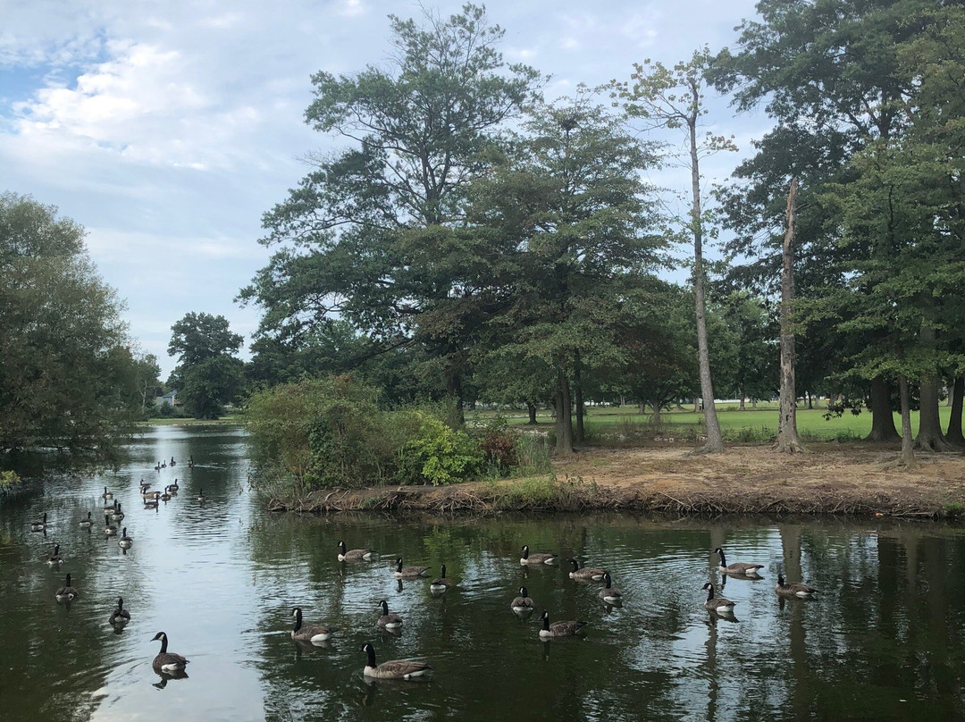 Riverview Beach Park景点图片