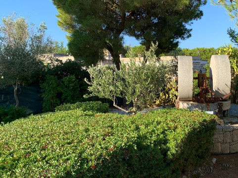 伊尔特拉佩托农家乐主图