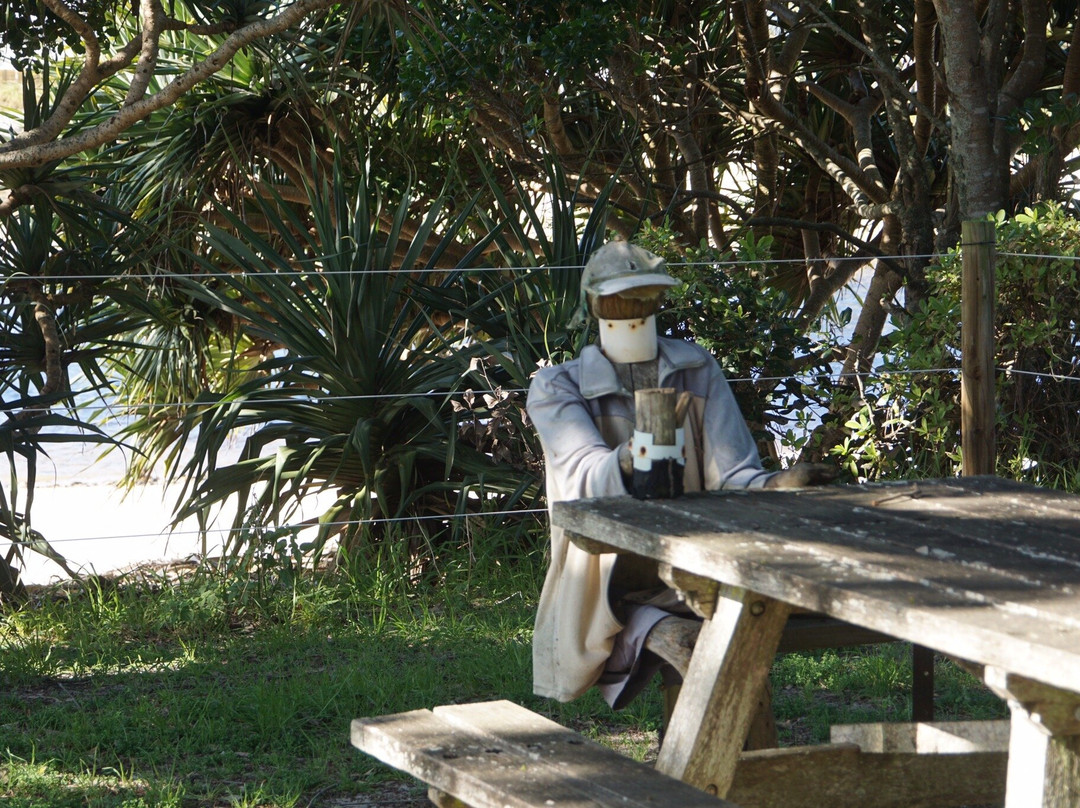 Yuraygir National Park景点图片