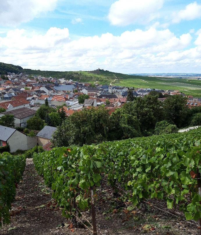 Champagne Bernard CLOUET-Villers-sous-Chatillon必去景点