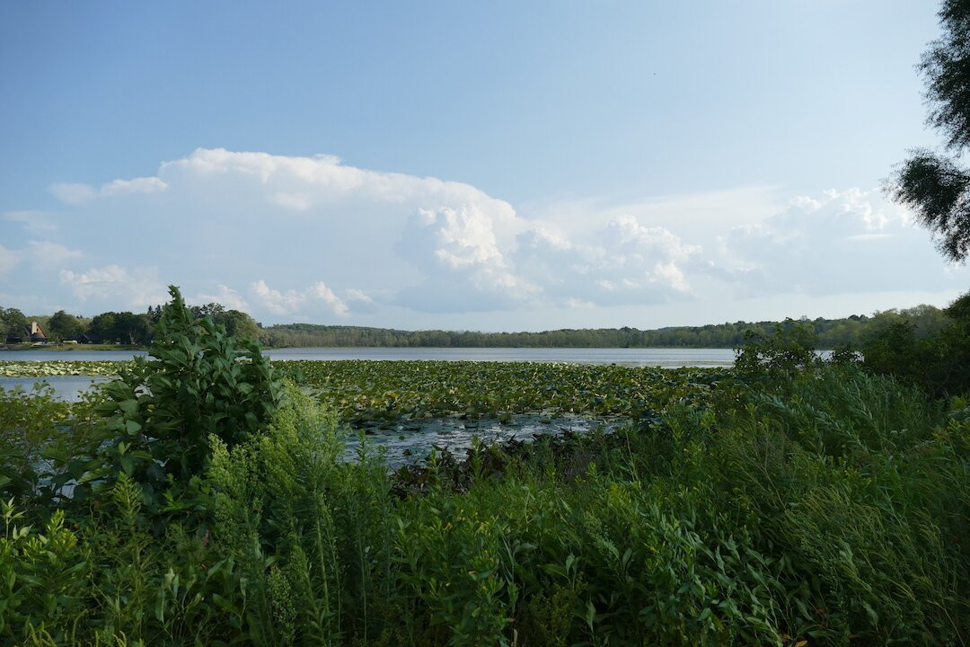 Bass Lake Preserve景点图片