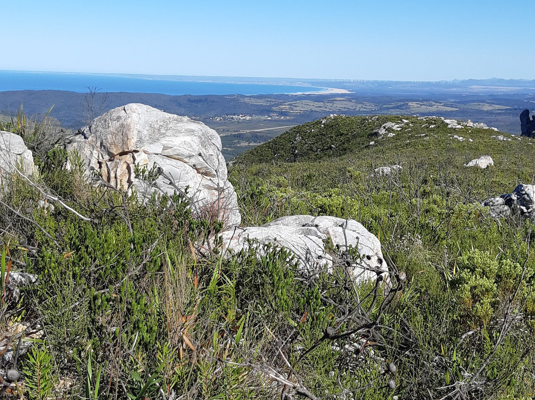 Peter Giddy Guided Tours-伊丽莎白港必去景点