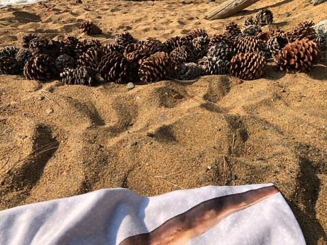 Round Hill Pines Beach and Marina-Zephyr Cove必去景点