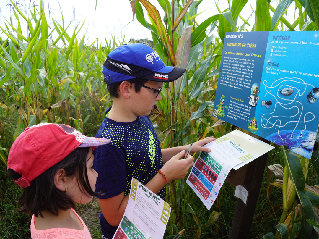 Corn Maze, Labyrinthe De Mais景点图片