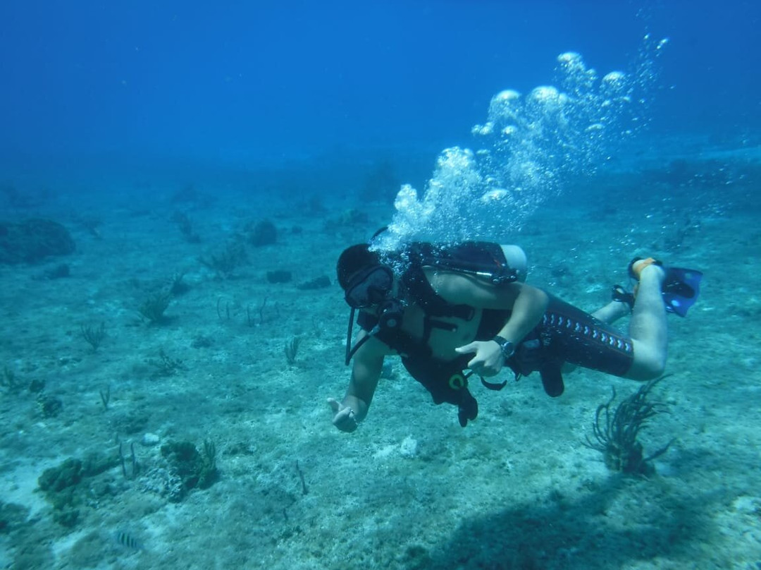 Blue Reef Divers-考祖梅必去景点