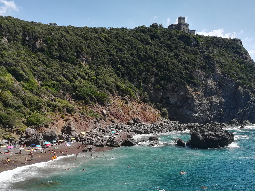 Cala del Leone景点图片