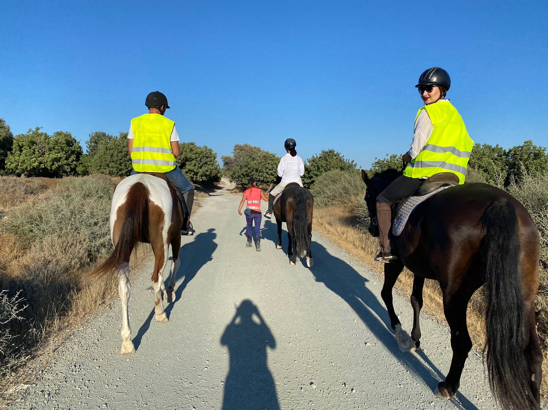 Aphrodite Hills Riding Club-库克利亚必去景点