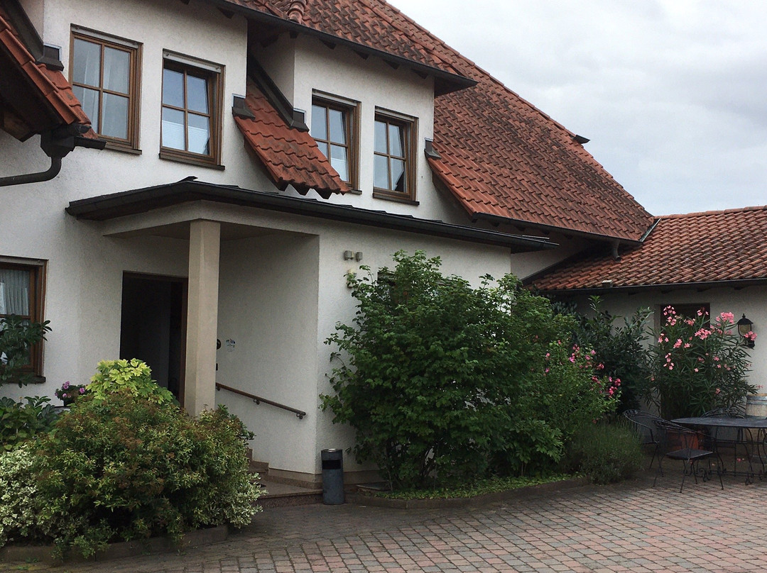 Weingut und Gästehaus Volker Schmitt主图