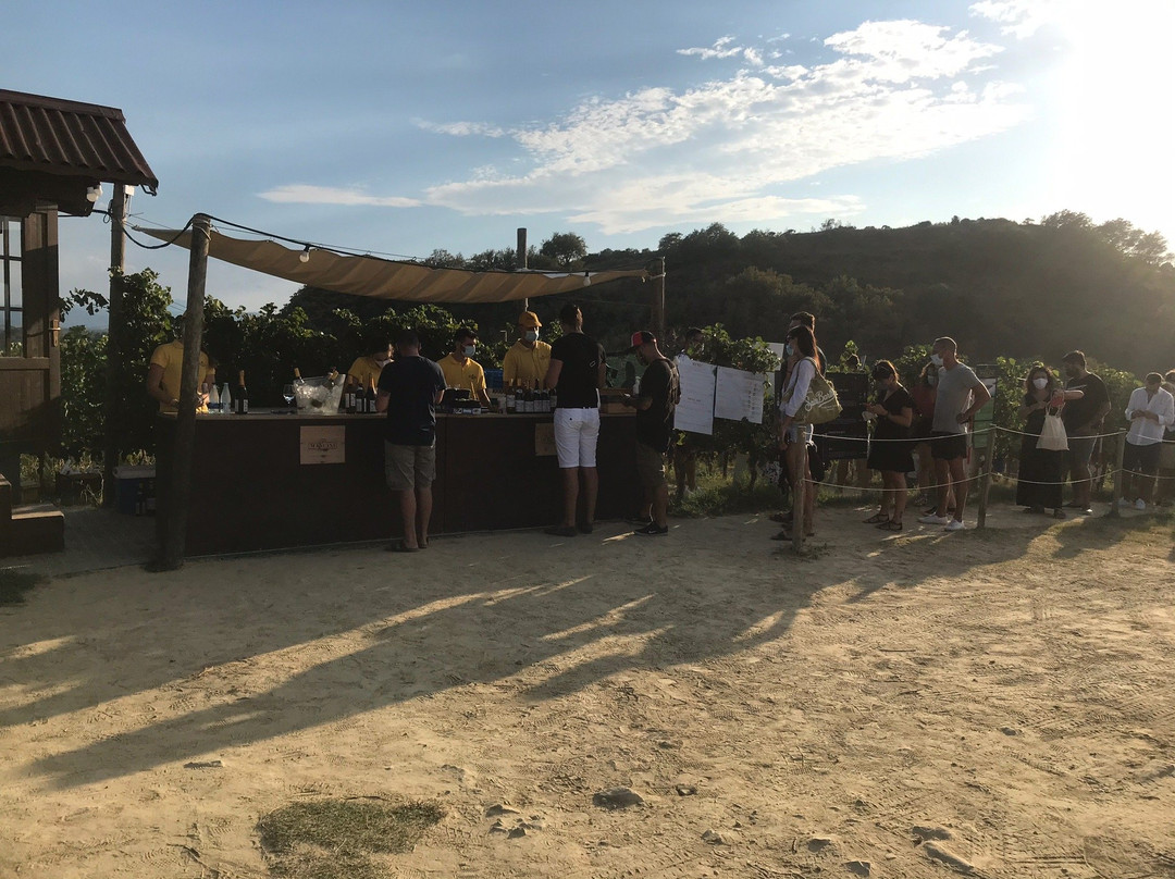 Vineria con Cucina in Fattoria Mancini-佩萨罗必去景点