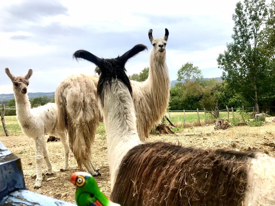 Mamirolle旅游攻略图片