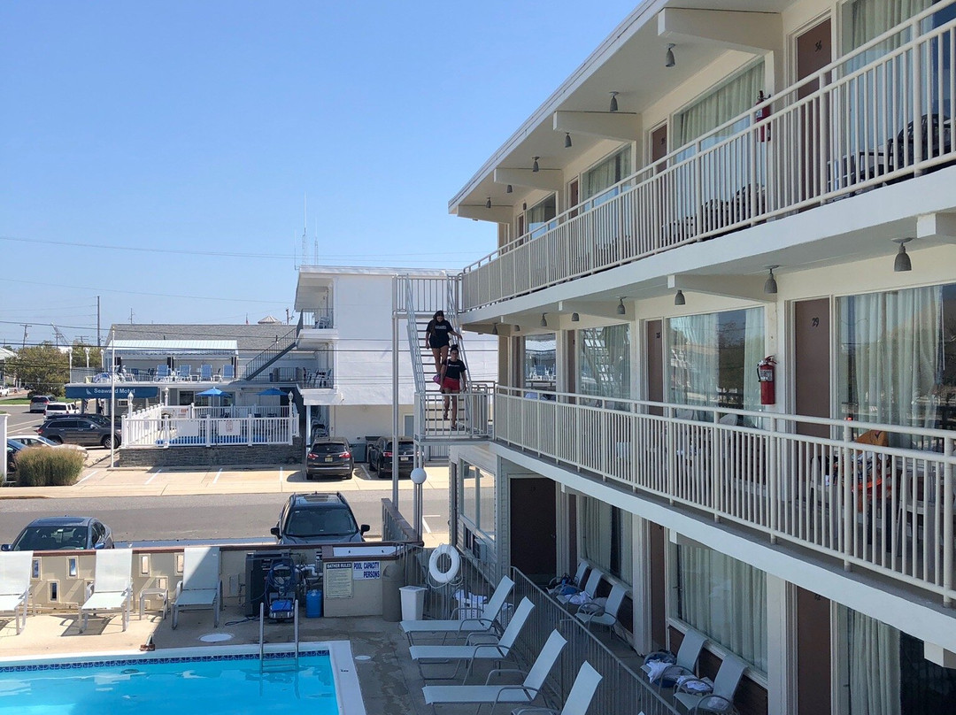 Cape May County酒店住宿-Lark Motel