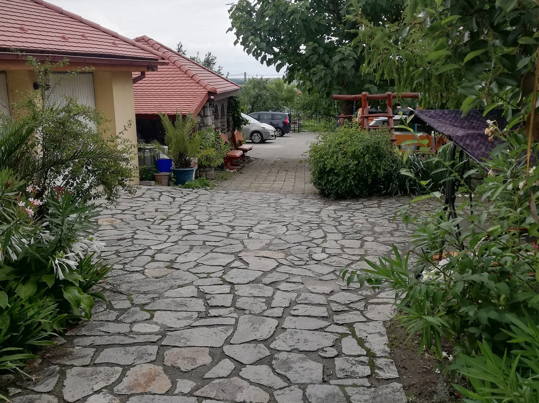 Szentesi Panzió Pension主图