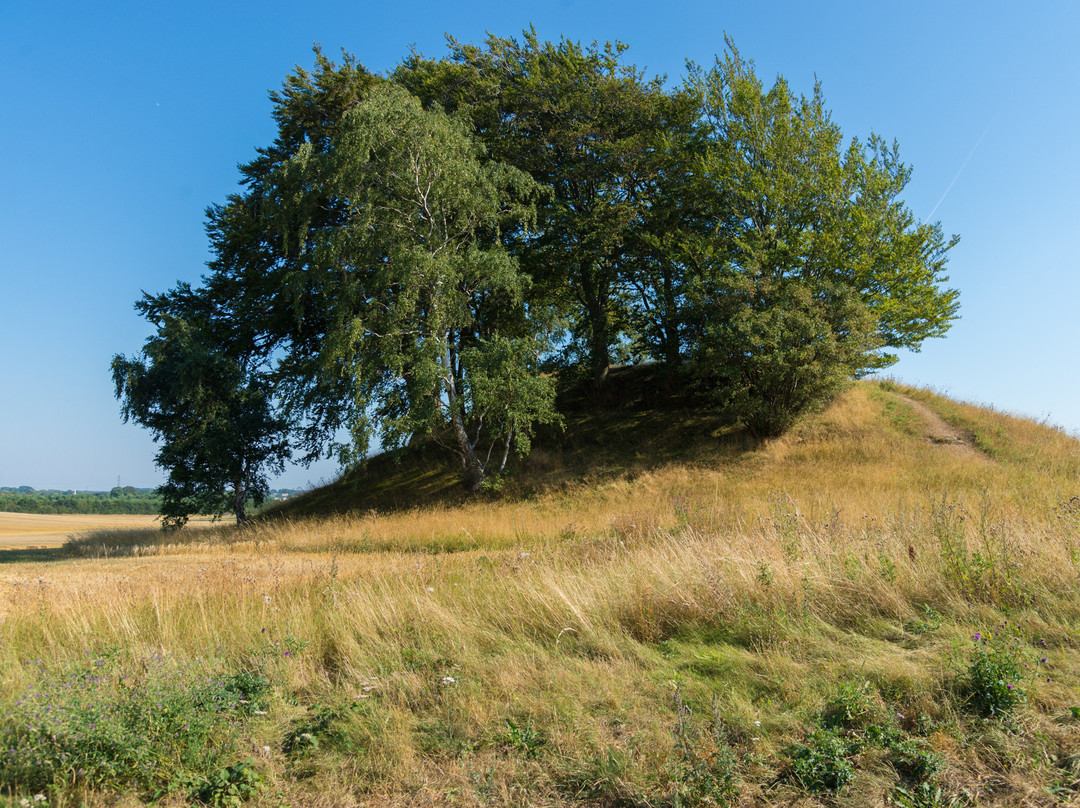 Hvedshoj Gravhoj