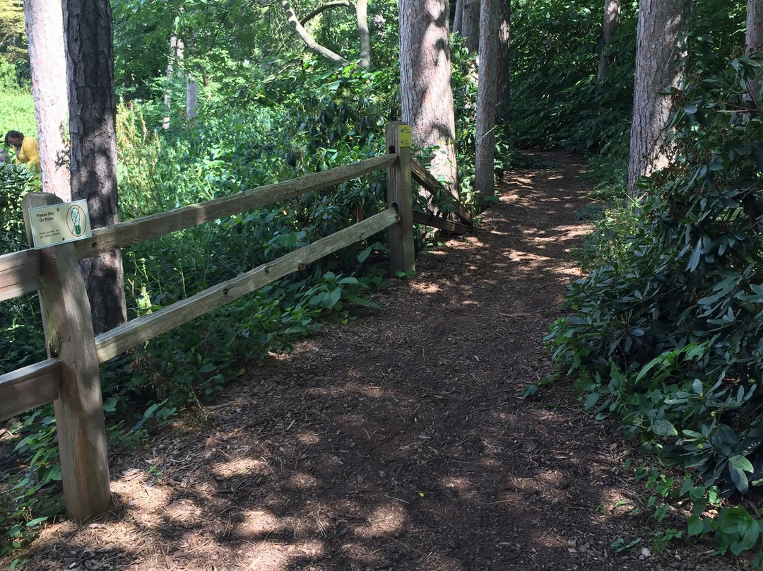 Nichols Arboretum-安娜堡必去景点