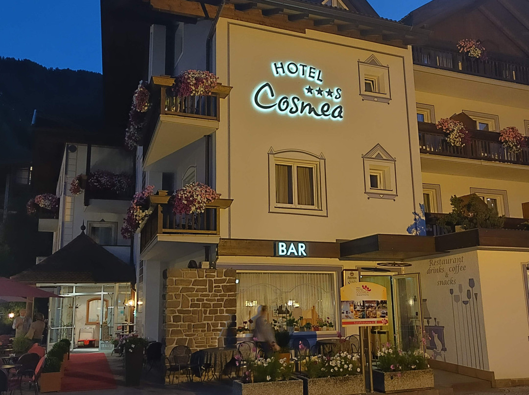 Hotel Cosmea主图